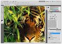 Adobe Photoshop CS6 Windows
