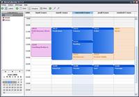 Mono Calendar Windows