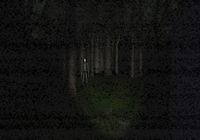 Télécharger Slender : The Eight Pages Windows