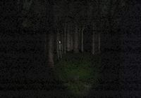 Slender : The Eight Pages Windows