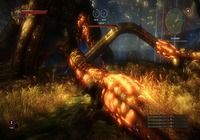 Télécharger The Witcher 2 : Assassins of Kings Mac