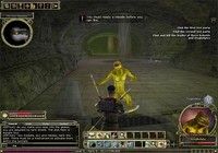 Dungeons & Dragons Online Windows