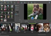 Télécharger PhotoStage - Créateur de diaporama Windows