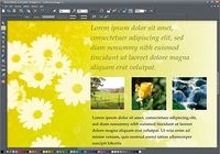 Photo & Graphic Designer Windows