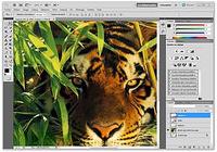 Télécharger Adobe Photoshop CS6 Windows