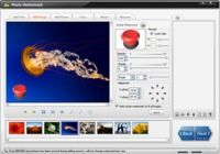 WonderFox Photo Watermark 8.2