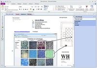 Microsoft Office Professionnel 2013 Windows