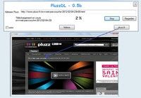 PluzzDL Windows