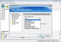 Disk Doctors File Shredder Windows