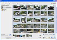 Picasa Windows