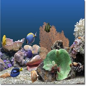 Télécharger Marine Aquarium 3
