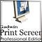 Télécharger Gadwin PrintScreen Pro