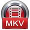 4Videosoft MKV Vidéo Convertisseur